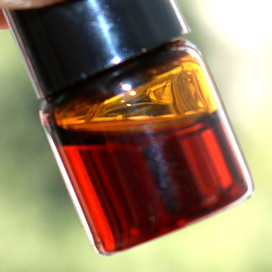 1 ml/butelka Autentyczny natur – Sandalwood Perfume Oil recenzja i cena