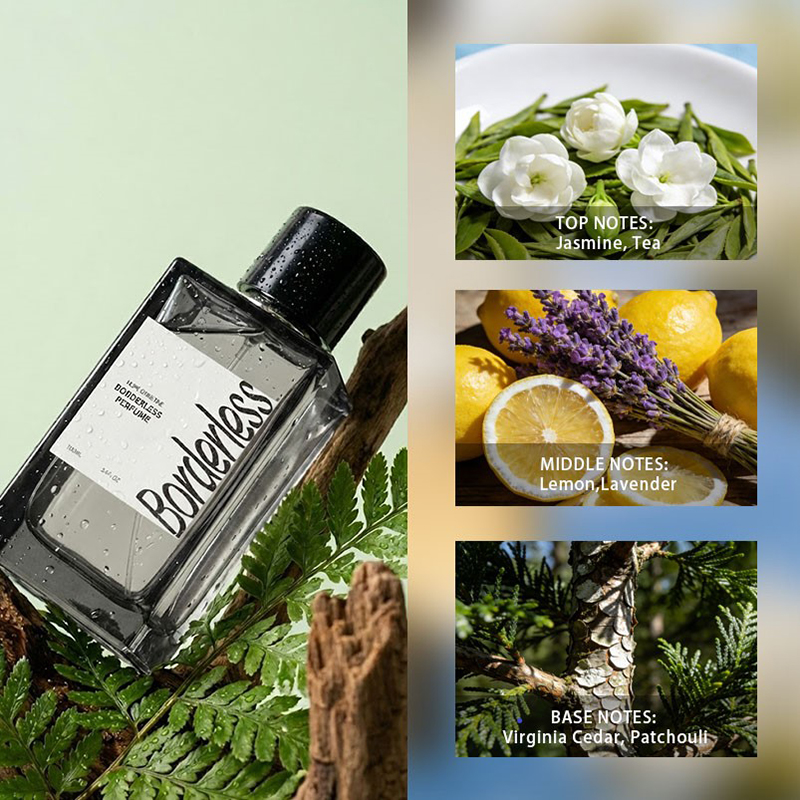 Luksusowy, bezbarierowy męski  – Perfume Fragrance Perfume recenzja i cena